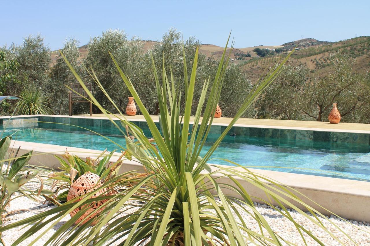 Finca Altozano - Private Pool - Unique Client Valle de Abdalagís Esterno foto