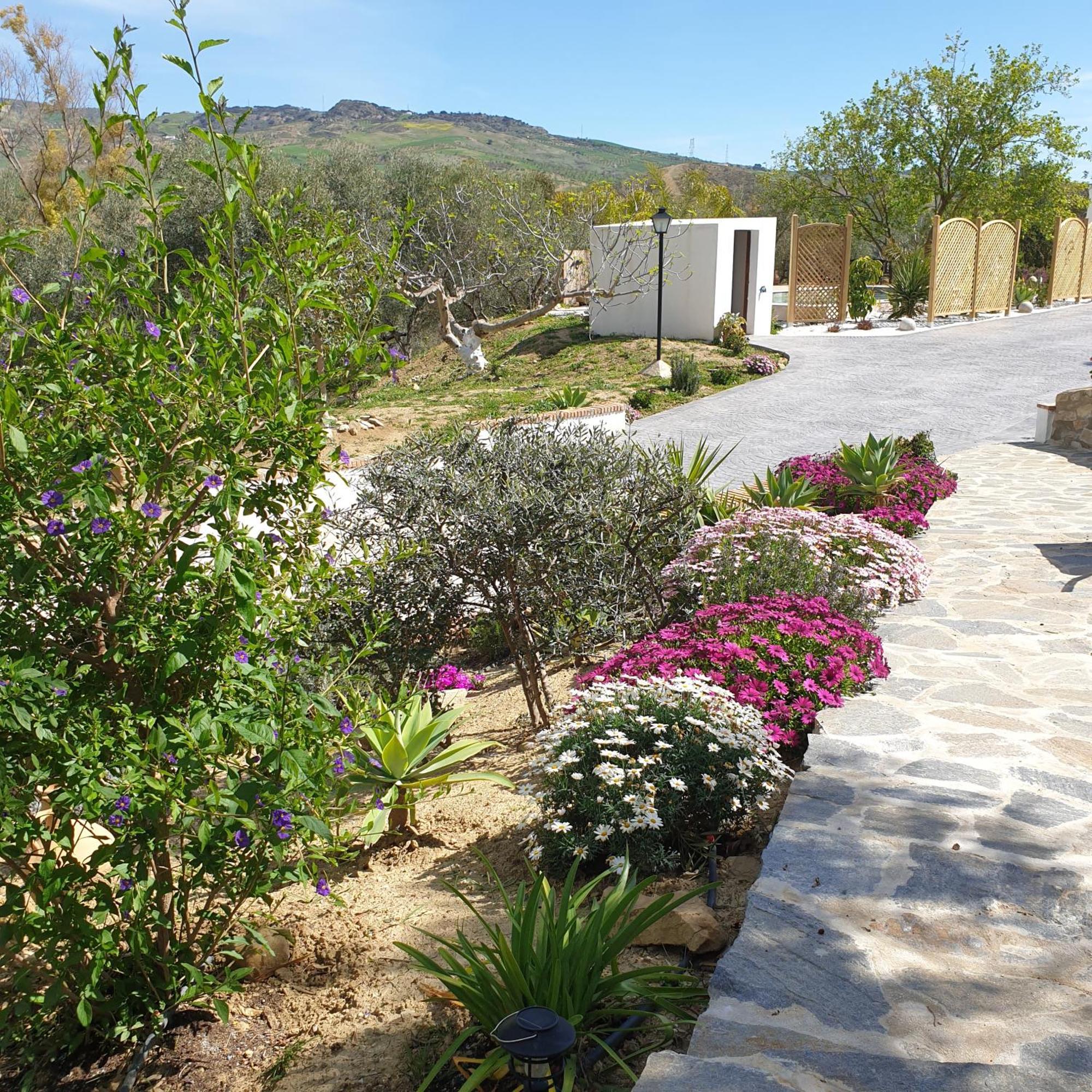 Finca Altozano - Private Pool - Unique Client Valle de Abdalagís Esterno foto