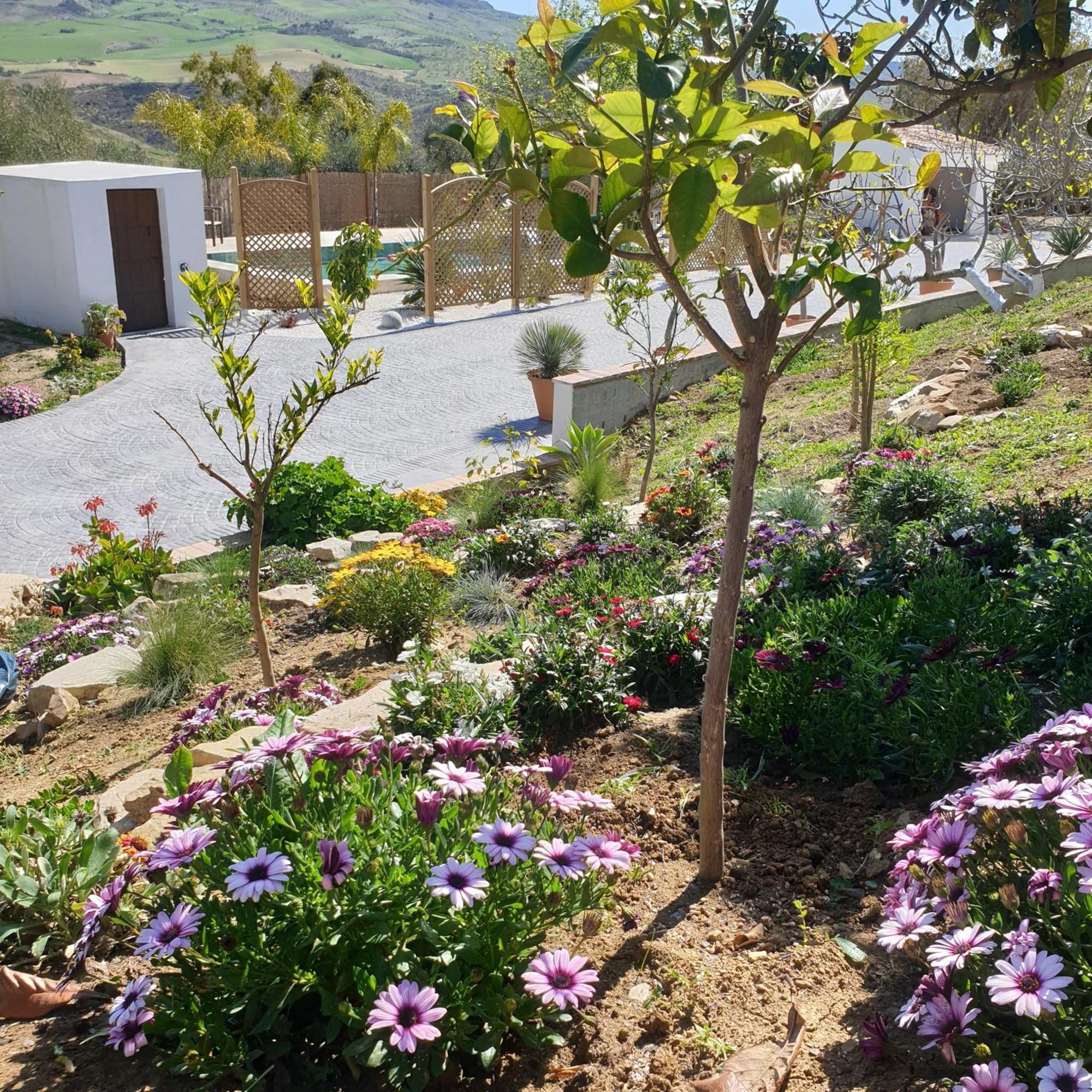 Finca Altozano - Private Pool - Unique Client Valle de Abdalagís Esterno foto
