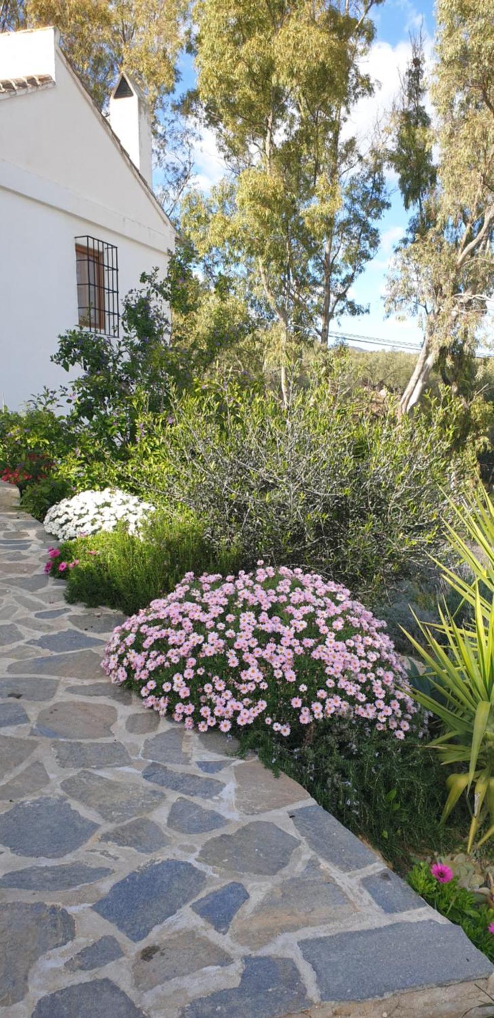 Finca Altozano - Private Pool - Unique Client Valle de Abdalagís Esterno foto
